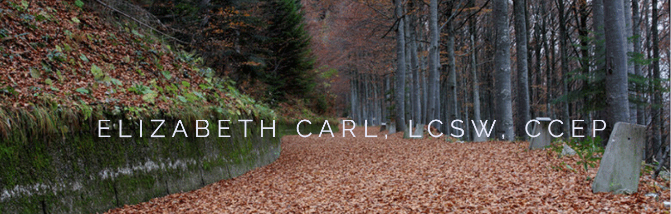woodland scene with website title 'Elizabeth Carl, LCSW, CCEP'